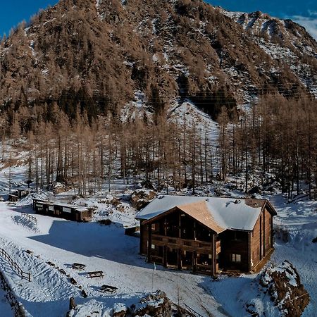 Chalet Rosa Dei Monti Piamprato 외부 사진