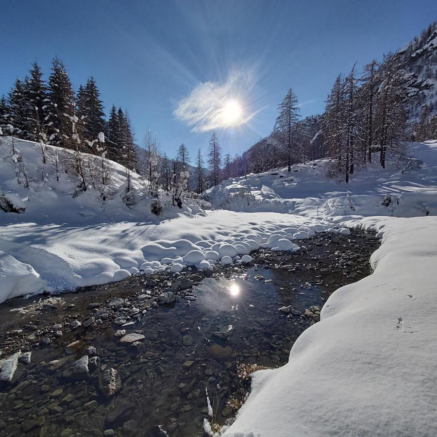 Chalet Rosa Dei Monti Piamprato 외부 사진
