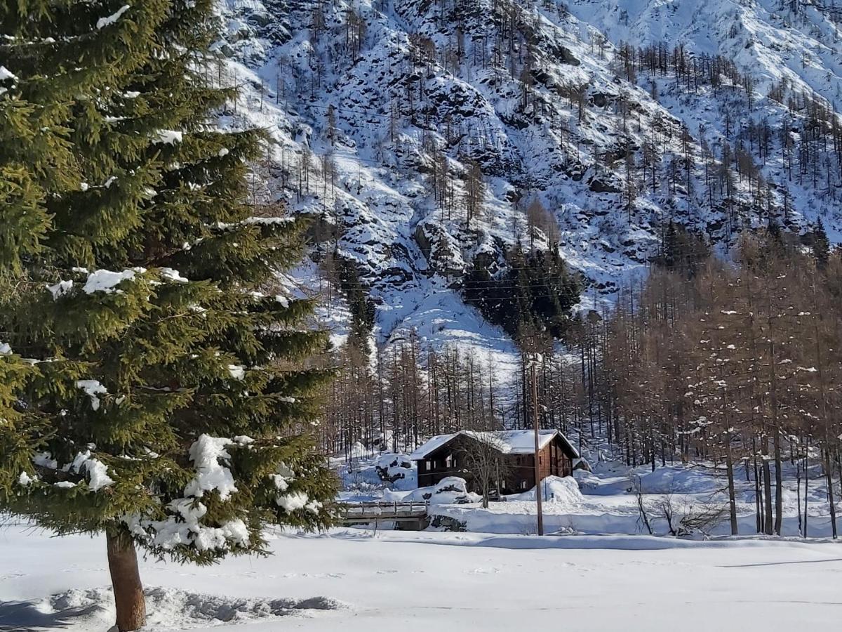 Chalet Rosa Dei Monti Piamprato 외부 사진