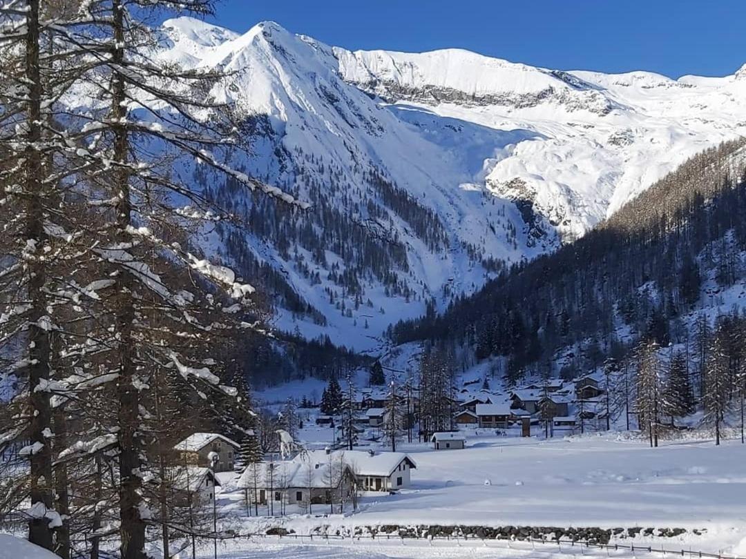 Chalet Rosa Dei Monti Piamprato 외부 사진
