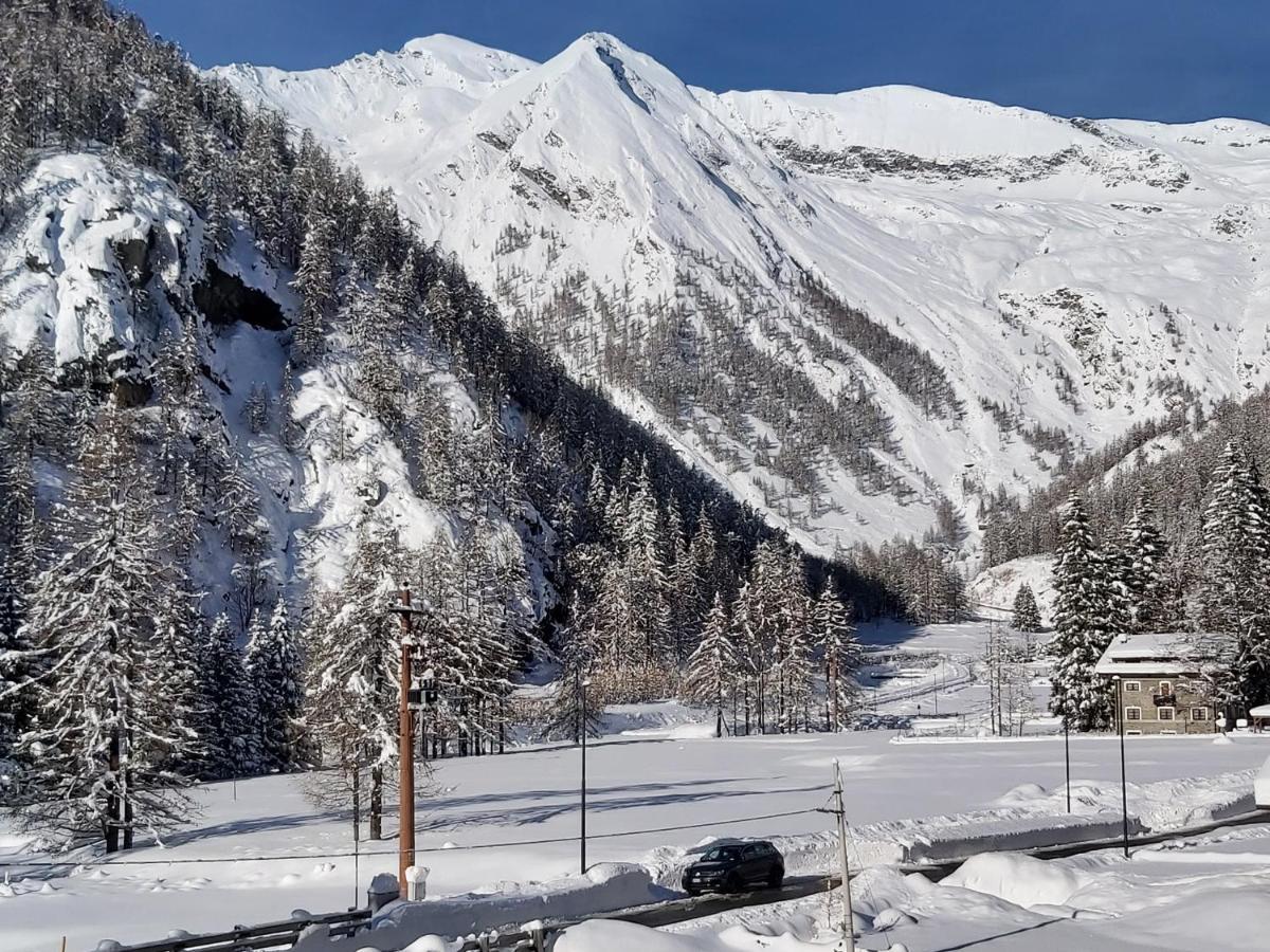 Chalet Rosa Dei Monti Piamprato 외부 사진