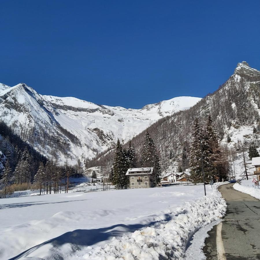 Chalet Rosa Dei Monti Piamprato 외부 사진