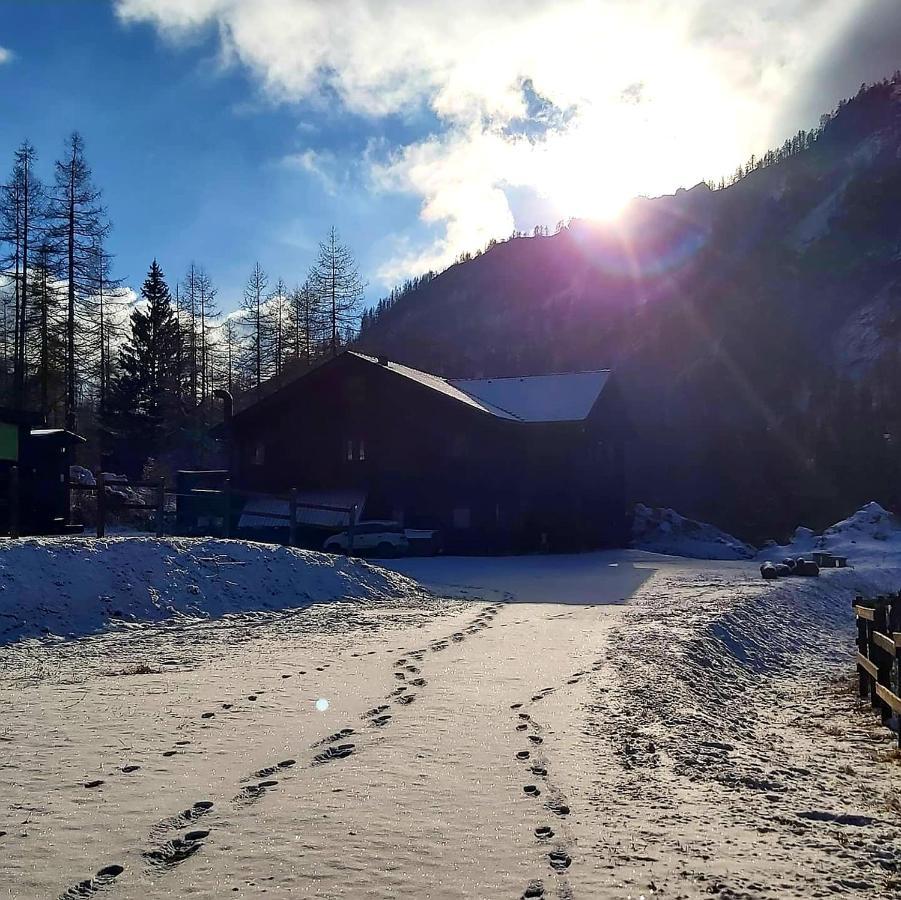 Chalet Rosa Dei Monti Piamprato 외부 사진
