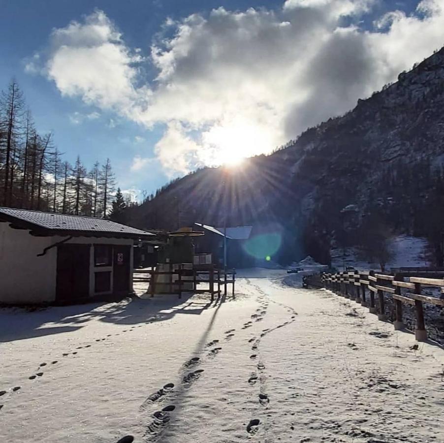 Chalet Rosa Dei Monti Piamprato 외부 사진