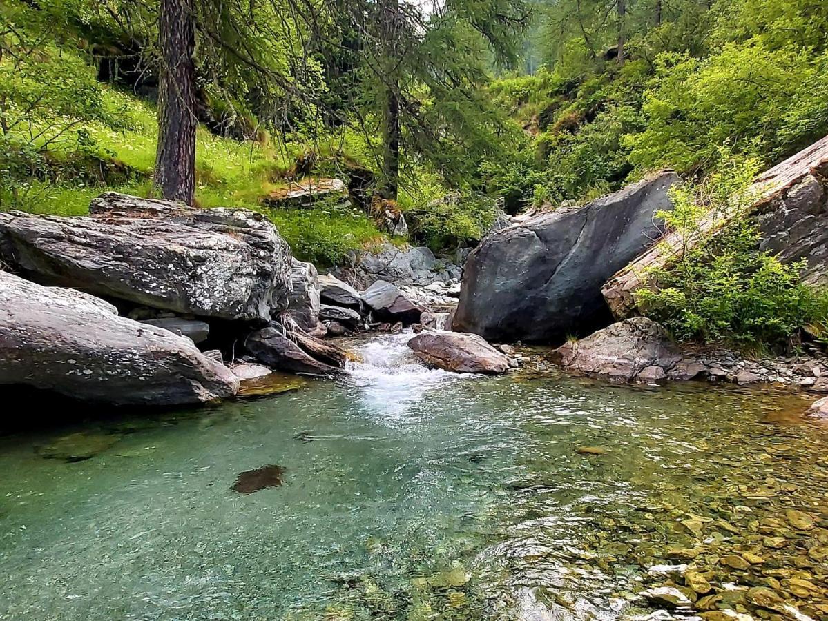Chalet Rosa Dei Monti Piamprato 외부 사진