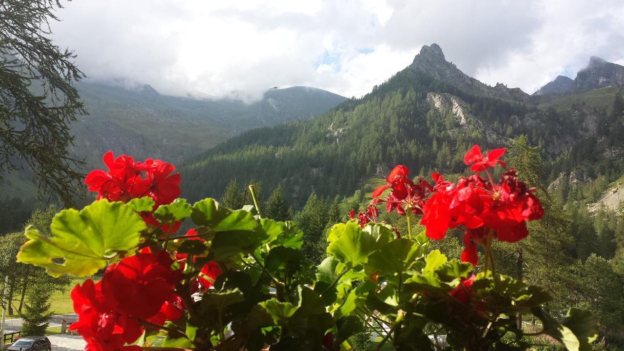 Chalet Rosa Dei Monti Piamprato 외부 사진