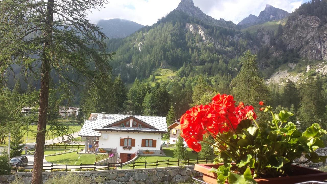 Chalet Rosa Dei Monti Piamprato 외부 사진