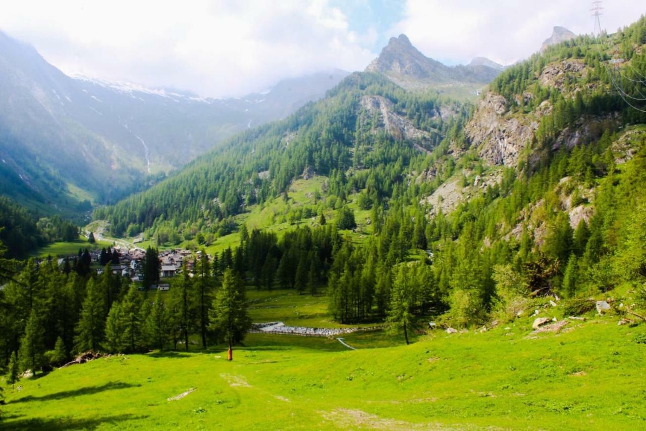 Chalet Rosa Dei Monti Piamprato 외부 사진