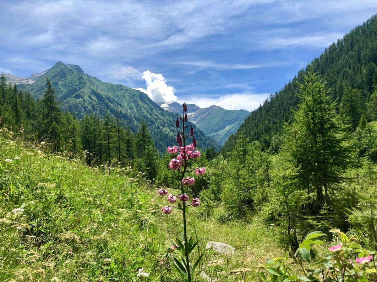 Chalet Rosa Dei Monti 호텔 발프라토 소아나 외부 사진