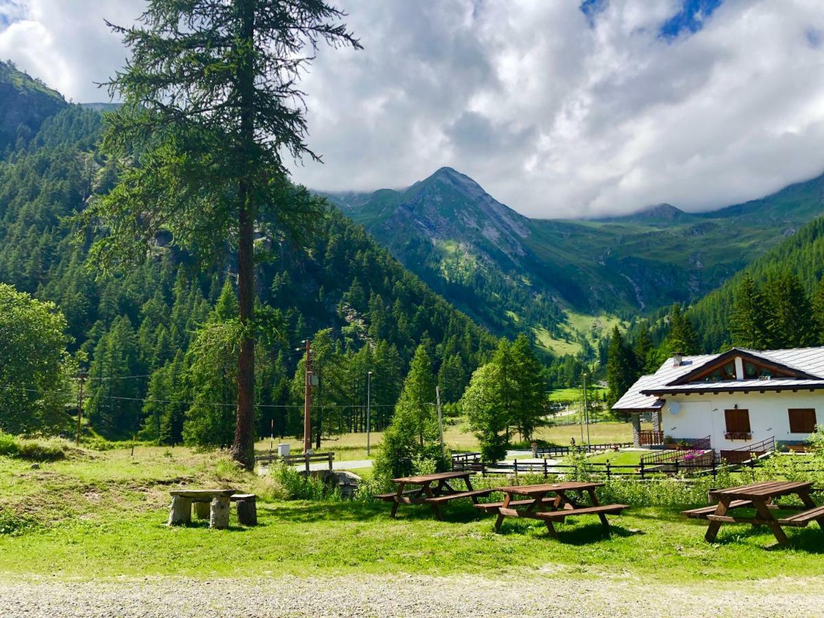 Chalet Rosa Dei Monti Piamprato 외부 사진