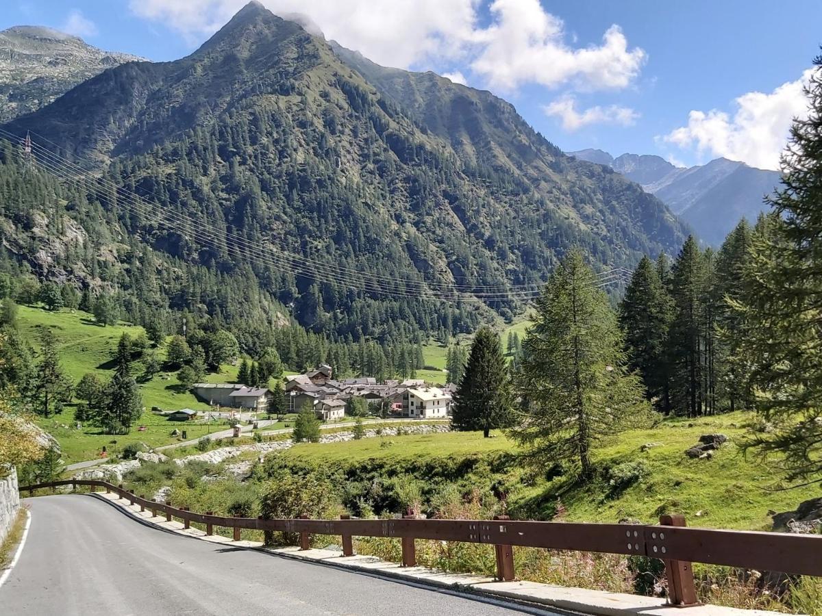 Chalet Rosa Dei Monti Piamprato 외부 사진